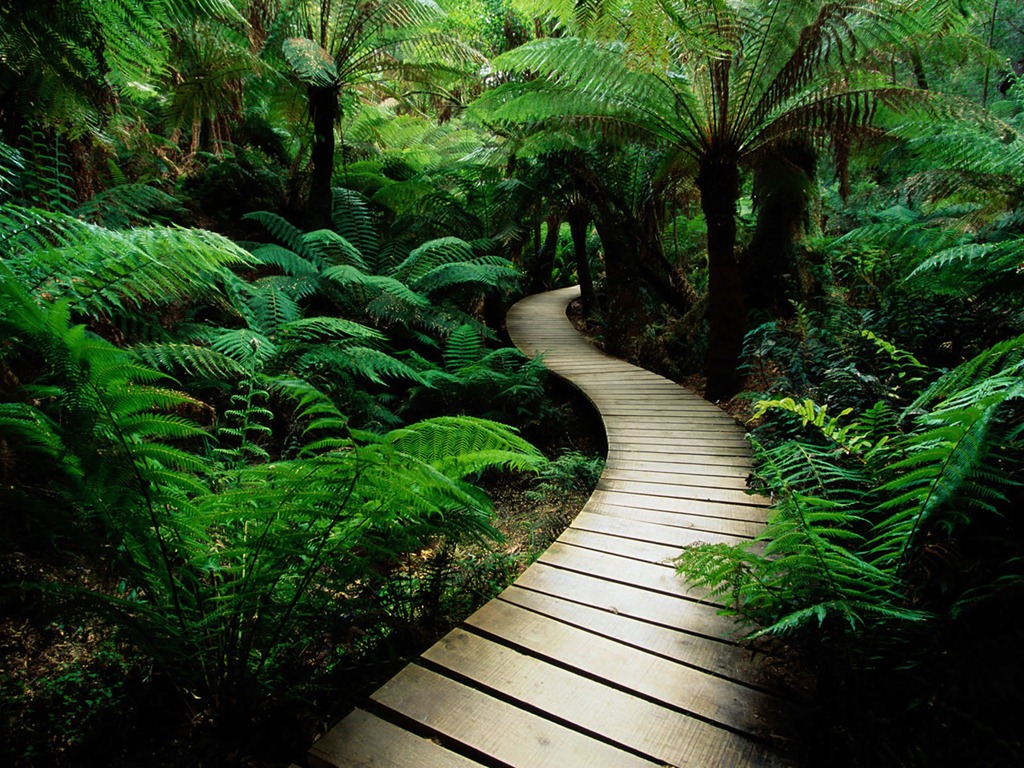 nature_wallpaper7.jpg