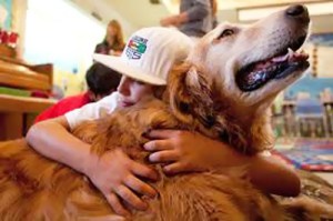 Therapy-dogs