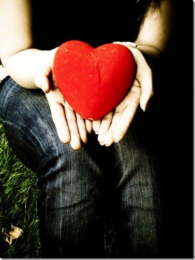 1463199_365518676927859_906942133_n