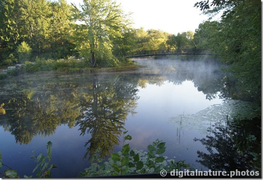 DSC00561_tn