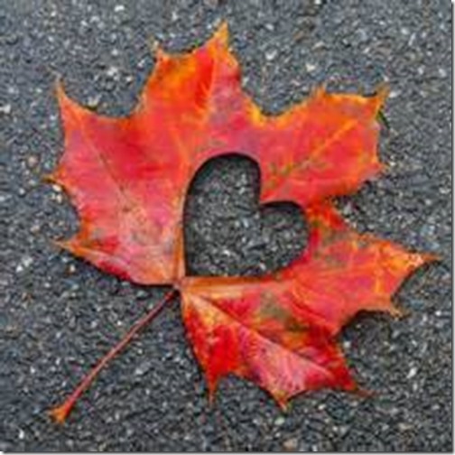 10477889_876990775703146_2358754953952239921_n