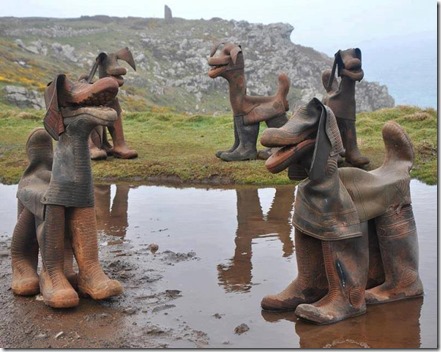 botdogs