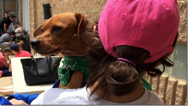 dinazcampbell_sherry