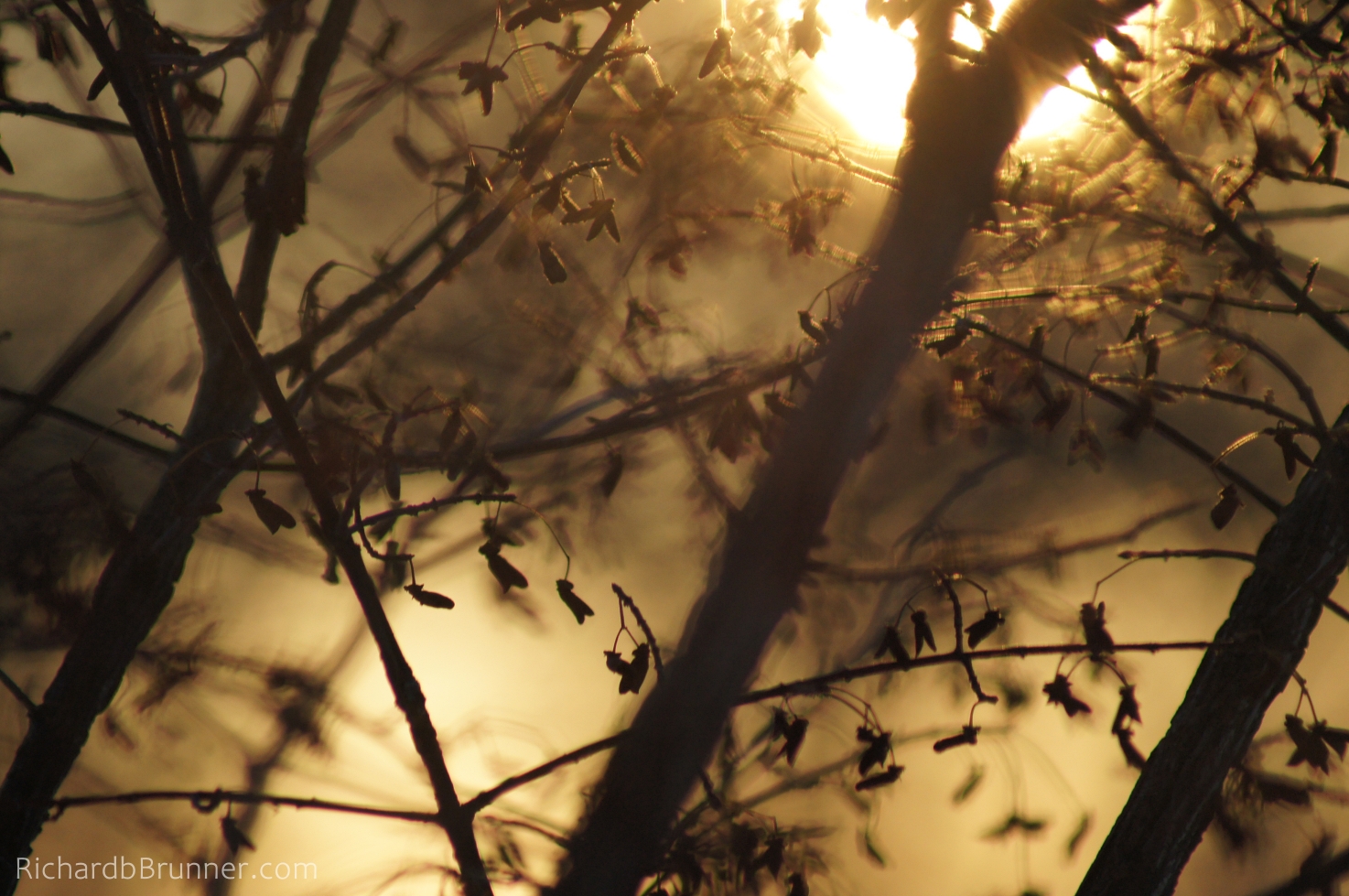 Winter-0063-sm.JPG