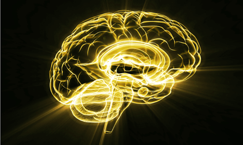 118ba-260291_10151674843907518_1073142538_n