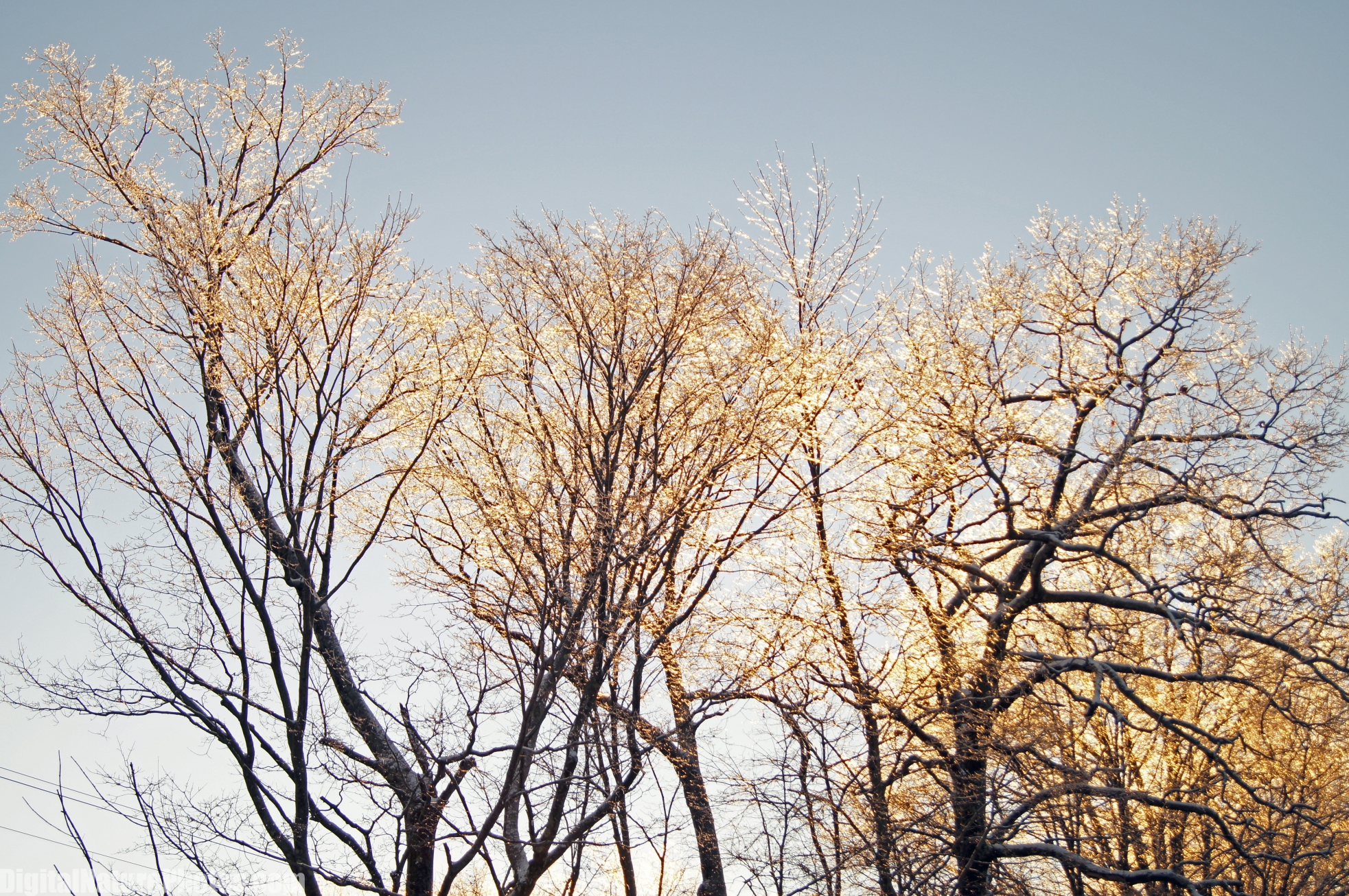 Winter-0044SM.jpg