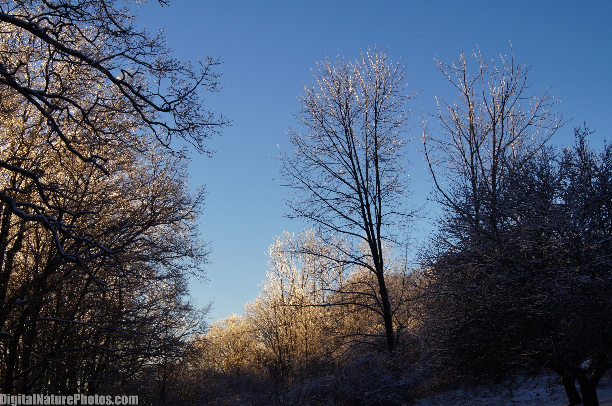 Winter-0059SM.jpg