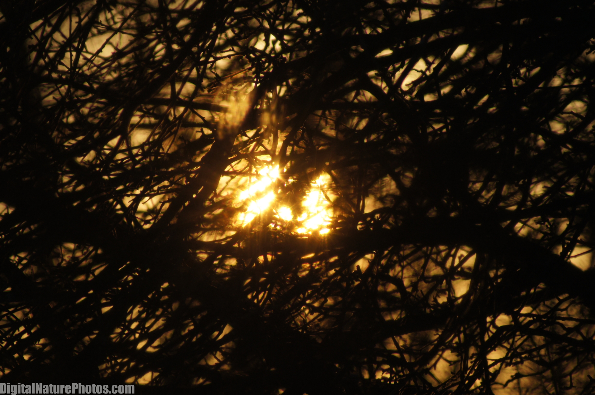 Winter-0071SM.jpg