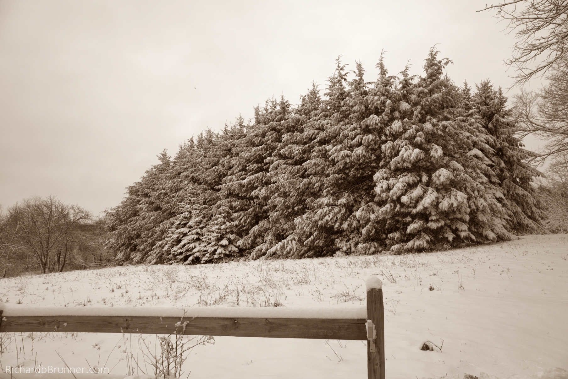 2017-Winter-63-sm.jpg
