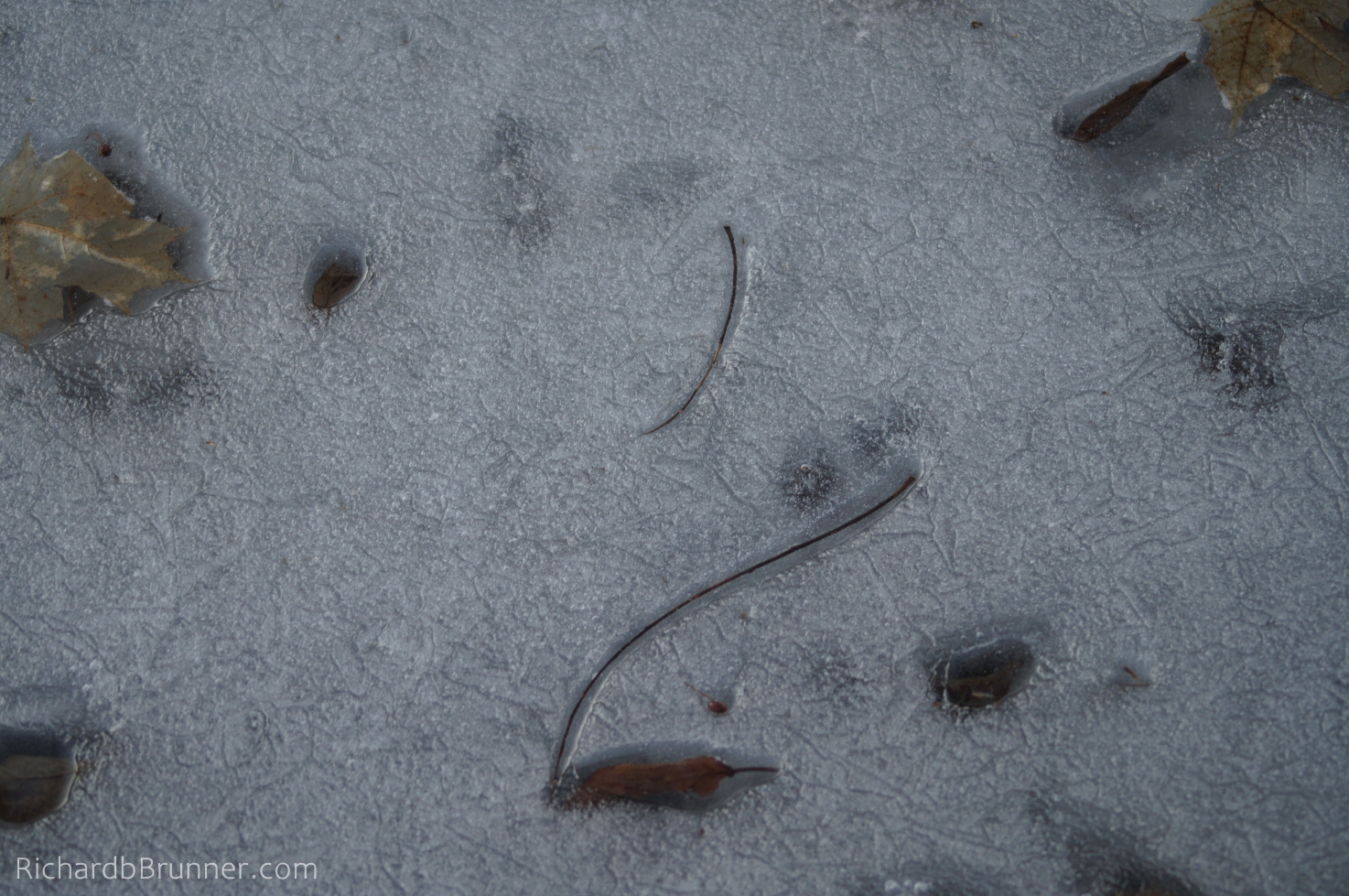 Winter-0011-sm.JPG