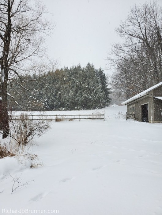 2019-note10-winter012-sm