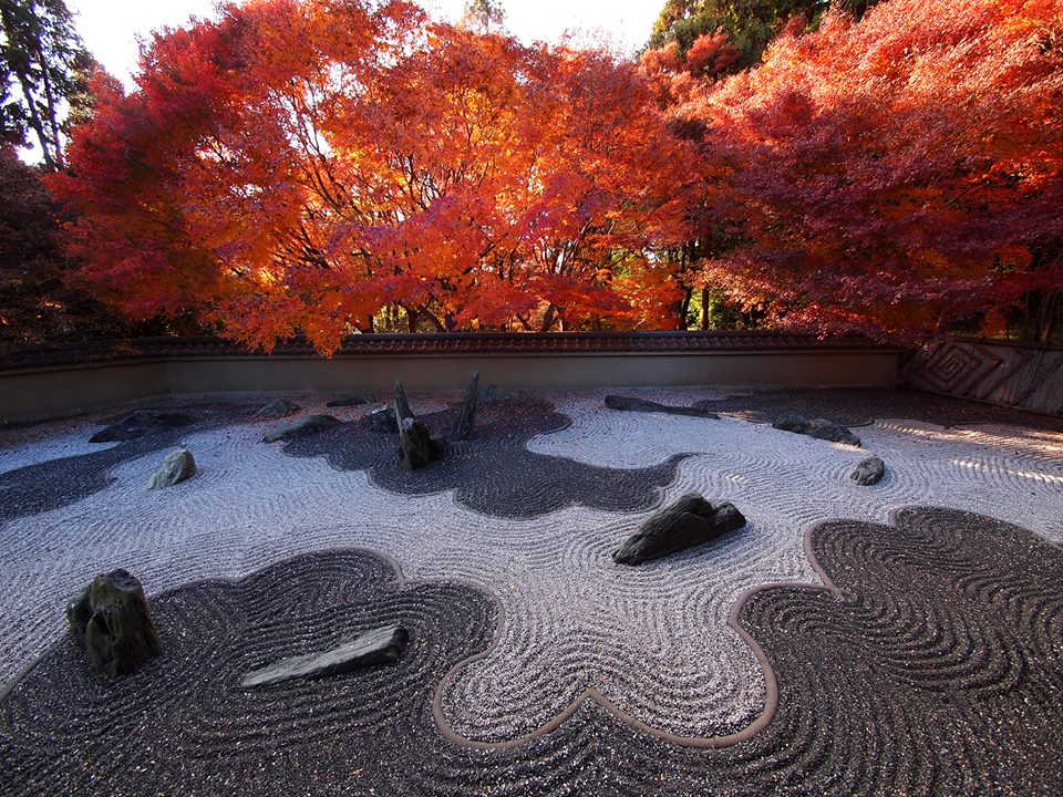 996972_621934824532791_1132991476_n