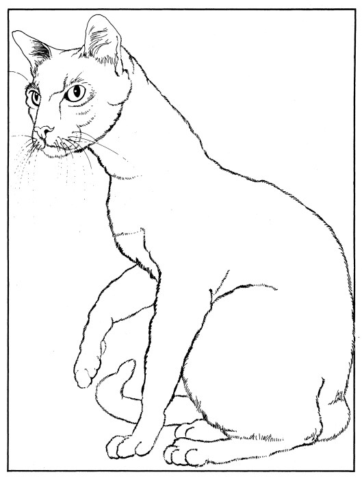 CPCT-Siamese.jpg